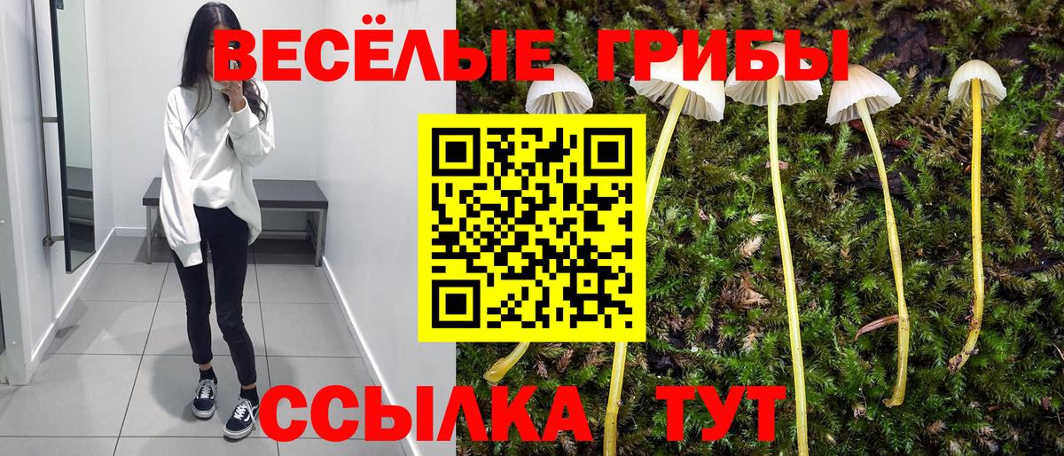 Псилоцибиновые грибы Psilocybine cubensis  Псилоцибиновые грибы мухоморы  Сегежа  Вход с VPN 